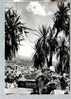 Jolie CP Photo Monte Carlo Vue Prise à Travers Les Plantes Exotiques - Ed Ajax Monaco 1418 - CAD 28-08-1962 / Tp Cactus - Giardino Esotico