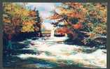 FISHING, WOODLEY PARK COURT, BRACEBRIDGE, ONTARIO, USED 1960 POSTCARD - Otros & Sin Clasificación