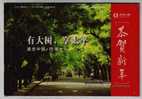 Bicycle Cycling On Avenue,bike,China 2008 Taiping Life Insurance Advertising Pre-stamped Letter Card - Cycling