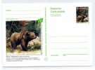 MAMMIFERE / OURS / URSUS ARCTOS  / ENTIER POSTAL /  STATIONERY  SLOVENIE - Ours