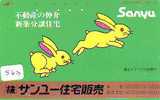 LAPIN Rabbit KONIJN Kaninchen Conejo (563) - Lapins