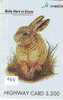 LAPIN Rabbit KONIJN Kaninchen Conejo (588) - Conejos