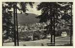 Carte Postale Ancienne Wernigerode - Hasserode A. Harz - Wernigerode