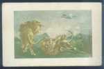 Hunting - Lion Hunting (Plane Spray), Japan Boy Scout Vintage Postcard - Scoutismo