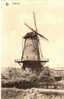 Stabroek (Molen) - Stabroek