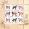 2002 RUSSIA Fauna.Dogs SHEETLET - Blocs & Hojas