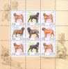 2002 RUSSIA Fauna.Dogs SHEETLET - Blocks & Kleinbögen
