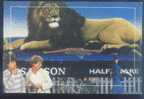 Lion - A Laying Male Lion, China Postcard - Leones