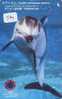 DOLPHIN DAUPHIN Dolfijn DELPHIN Tier Animal (574)  Telefonkarte Telecarte Japan * - Dolphins