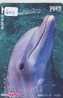 DOLPHIN DAUPHIN Dolfijn DELPHIN Tier Animal (603)  Telefonkarte Telecarte Japan * - Delfines