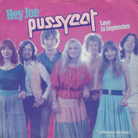 * 7" * PUSSYCAT - HEY JOE (Nederpop 1978 Ex-!!!) - Country & Folk