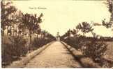 Wavre-Notre-Dame : Institut Des Ursulines - Vers Le Kiosque - Sint-Katelijne-Waver