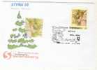 Österreich - Pers. Marke Christkindl Sonderstempel 6.Dezember - Unused Stamps