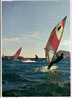 PLANCHE A VOILE - Sailing