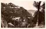 CpE3488 - MAZAMET - Village D'Hautpoul Et Usines Dans La Gorge - (81 - Tarn) - Mazamet
