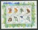 1993 RUSSIA RARE ANIMAL BLOCK OF 8V(INCLUDE PANDA) - Blokken & Velletjes
