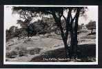 Real Photo Postcard The Cliffs Westcliff-on-Sea Essex - Ref 255 - Southend, Westcliff & Leigh