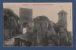 CP CREMIEU - 38 - ENTREE DES TOURS St HIPPOLYTE - F. VIALATTE PHOT. OYONNAX 1913 - Crémieu