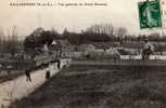 /91/  BALLANCOURT  VUE GENERALE DU GRAND SAUSSAYE - Ballancourt Sur Essonne