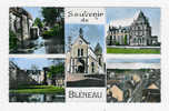 BLENEAU - Souvenir De - Bleneau