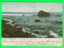 NARRAGANSETT PIER, RI - OLD MAN´S FACE, POINT JUDITH - TRAVEL IN 1906 - UNDIVIDED BACK - SOUVENIR POST CARD CO - - Other & Unclassified