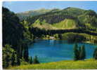 Lac Des Chavonnes  Au Fond Le Chamossaire - Au