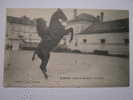 CPA   SAUMUR  CADRE NOIR   CAVALERIE  COURBETTE - Horse Show