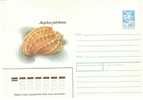 Urss Shell / Coquillage Postal Stationery - Coquillages