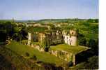 BIDACHE    -  Le Château Des Ducs De Gramont       XI ème  S.    - N° 1656 - Bidache