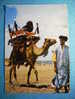 R.9919 MARRUECOS MAROC MOROCCO MARIAGE DANS LE HAUT ATLAS ETNICA ETHNIC AÑOS 60/70 MAS EN MI TIENDA - Non Classificati