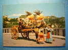 R.9929 ITALIA ITALY SICILIA CHARIOT SICILIEN CARRO SICILIANO ETNICA ETHNIC AÑOS 60/70 MAS EN MI TIENDA - Ohne Zuordnung