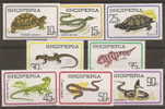 Albanie Shqiperise **907/14 Reptiles Tortue Couleuvre Gecko Lézard Vipère Serpents - Turtles