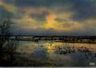 CPSM.   CAMARGUE. "DES ROSEAUX.DES AJONCS.SON CIEL MOUVANT ET COUCHER DE SOLEIL INCOMPARABLE..."DATEE 1969. - Controluce