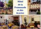 46 - Souillac - Hôtel De La Promenade Et Des Acacias - Souillac