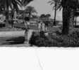 06 - NICE -ANNEES 50- CPSM DENTELEE N&B- Tractions Sur La Promenade- Animation - Markten, Pleinen