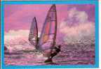 PLANCHE A VOILE - Segeln