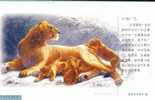 #P1# Endanged Speice Rare Animal  Lion ,  Prepaid Card , Postal Stationery - Rhinozerosse