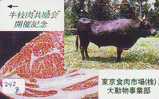 VACHE COW VACA KUH KOE MUCCA (242b) - Cows