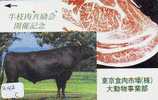 VACHE COW VACA KUH KOE MUCCA (242c) - Vaches