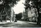 CPSM Salon De Provence Boulevard Carnot (1951) - Salon De Provence