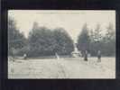 Chateauvillain Vue D'entrée Dans Le Parc édit.jacquemin Animée Belle Carte - Chateauvillain