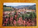 Ardèche - Sr Martin De Valamas - Fleurs Devant La Vue Générale - 550 M. - Saint Martin De Valamas