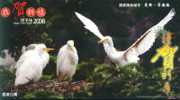 #B2#   Storks  Birds  , Specimen   Prepaid Card , Postal Stationery - Cicogne & Ciconiformi