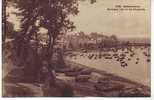 Delcampe - Dép 29 - Bateaux De Pêche - Y625 - Douarnenez - Le Grand Port Vu Des Plomarc´hs - Bon état - Douarnenez