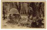 TAMARIS SUR MER - Sous-bois De La Rouve , Vieux Puits Dit De Jacob - Tamaris