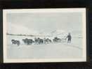 Wagons Lits De L'artique Alaska édit.impr.réunies Nancy Attelage De Chien  Belle Carte - Autres & Non Classés