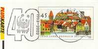 2620. Tarjeta Entero Postal BLECKEDE (Alemania) 2003.  Oso Panda - Ours