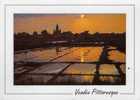 CPSM. VENDEE. COUCHER DE SOLEIL SUR LE MARAIS SALANT. - Contre La Lumière