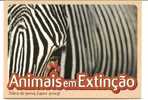 CPM ZEBRE  Animaux En Voie De Disparition Portugal Jardin Zoologique - Zebra's