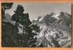 D463, Valais, Groupe D'arolle S Au Dessus Du Glacier Du Trient. Pointe D'Orny Et Aiguilles Du Tour. - Trient